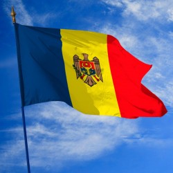 100 Drapeaux De Moldavie à Main – 14x21 Cm, Mât Plastique 30 Cm, Pour événements Et Décos