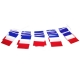 Guirlande bleu blanc rouge plastique Drapeaux Unic