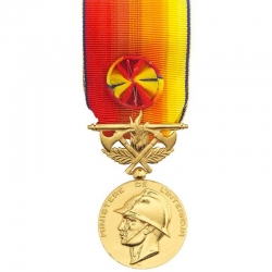 Médaille Sapeurs Pompiers services exceptionnels argent doré