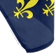 Drapeau Dauphiné Unic drapeau region province