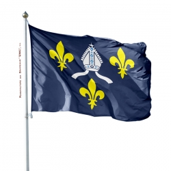 Pavillon Saintonge dans drapeau province France Unic