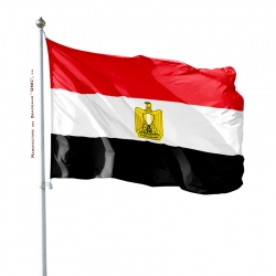 Pavillon Egypte drapeau pays Unic