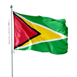 Pavillon Guyana tous les drapeaux Unic