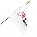 Drapeau Nouvelle Aquitaine région