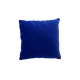 Coussin d'inauguration en velours