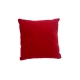 Coussin d'inauguration en velours