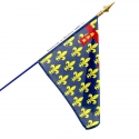 Drapeau Artois