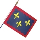 Drapeau Berry drapeaux regionaux Unic