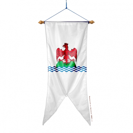 Oriflamme Comté de Nice province française Drapeaux Unic