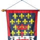 Oriflamme Pays de la Loire province française Drapeaux Unic