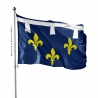 Pavillon Orléanais dans drapeau province française Unic