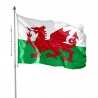 Pavillon Pays de Galles tous les drapeaux Unic