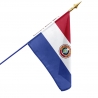 Drapeau Paraguay dans drapeaux des pays d'Amérique