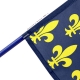 Drapeau Allier historique