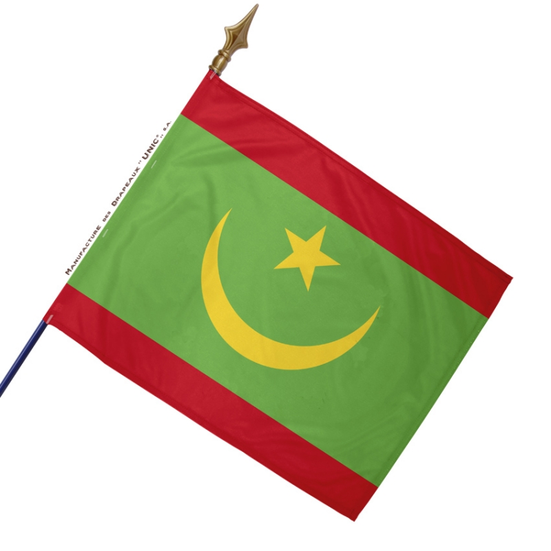 PTÉROSAURE 14*21cm Mauritanie Drapeau de la Main Mauritanien Drapeau Monde  Pays Africains Tenu Dans La Main de Petit Drapeau, 50/100pcs - AliExpress