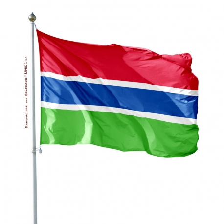 Pavillon Gambie drapeau pays Unic