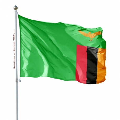 Pavillon Zambie dans drapeaux des pays d'Afrique Unic