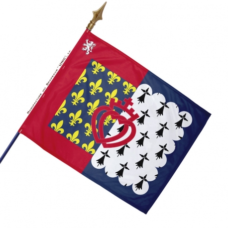 Drapeau Loire historique