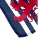 Drapeau Moselle historique