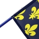 Drapeau Lozère historique