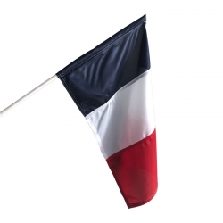 Drapeau France plastique à agiter Drapeaux Unic