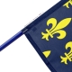 Drapeau Seine et Marne historique