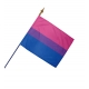 Drapeau Lesbien