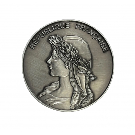 Médaille d'Honneur Drapeaux Unic