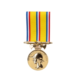 Médaille Sapeurs Pompiers 25 ans argent doré