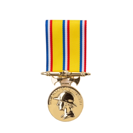 Médaille Sapeurs Pompiers 25 ans argent doré