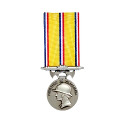 Médaille Sapeurs Pompiers 20 ans bronze argenté