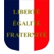 Ecusson porte drapeaux n°9 LEF tricolore
