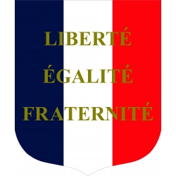 Ecusson porte drapeaux n°9 LEF tricolore