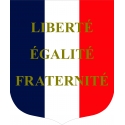 Ecusson porte drapeaux n°9 LEF tricolore