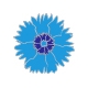 Pin's Bleuets