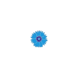 Pin's Bleuets