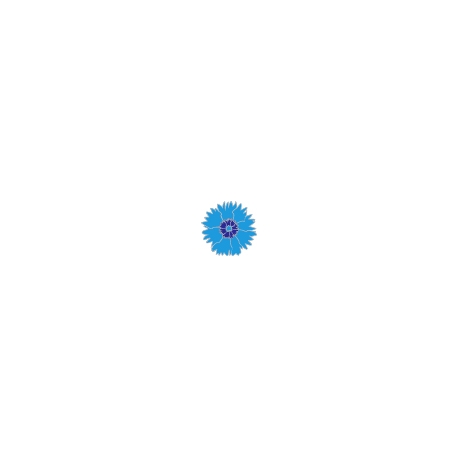 Pin's Bleuets