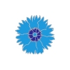Pin's Bleuets