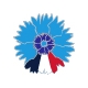 Pin's Bleuets