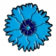 Pin's Bleuets